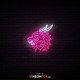 Dragon 2 - NEON LED Sign