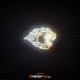 Panther - NEON LED Sign Panther - NEON LED Sign