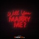 Will You Marry Me - NEON LED Sign